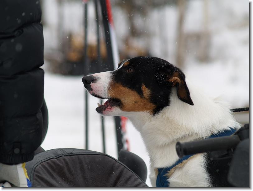Nästa bild